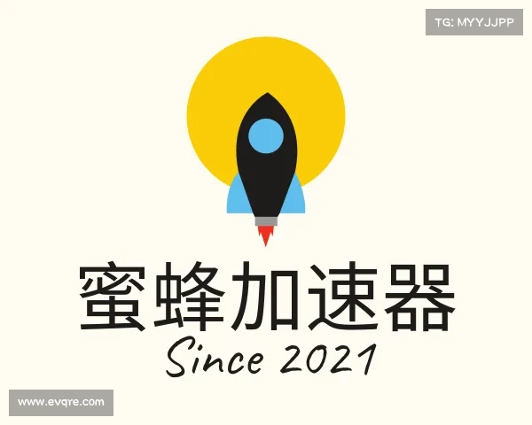 认识蜜蜂加速器